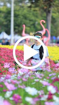 BIB:  <button type="button" onclick="openModal(27583251)" class="btn btn-primary btn-sm float-right" data-toggle="modal" data-target=".modal-high-quality">
                <i class="fa fa-download"></i> Download
                </button>